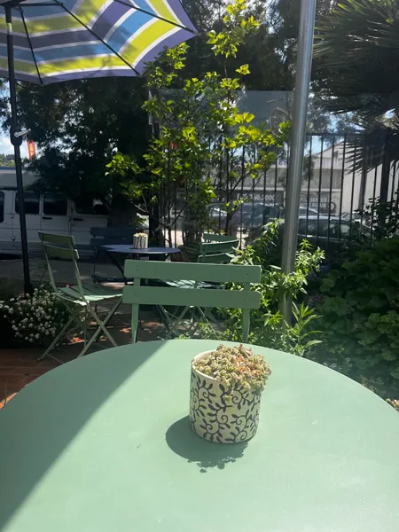 Cup of Bloom La Jolla - Photo