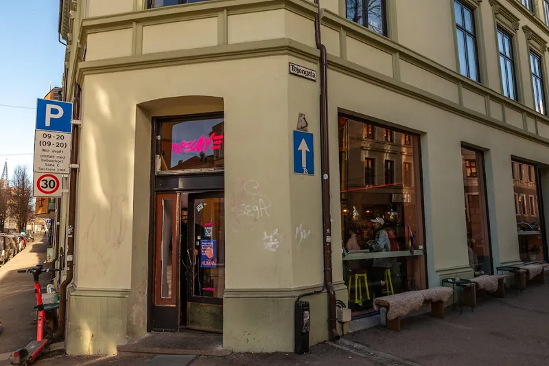 Papegøye - Photo
