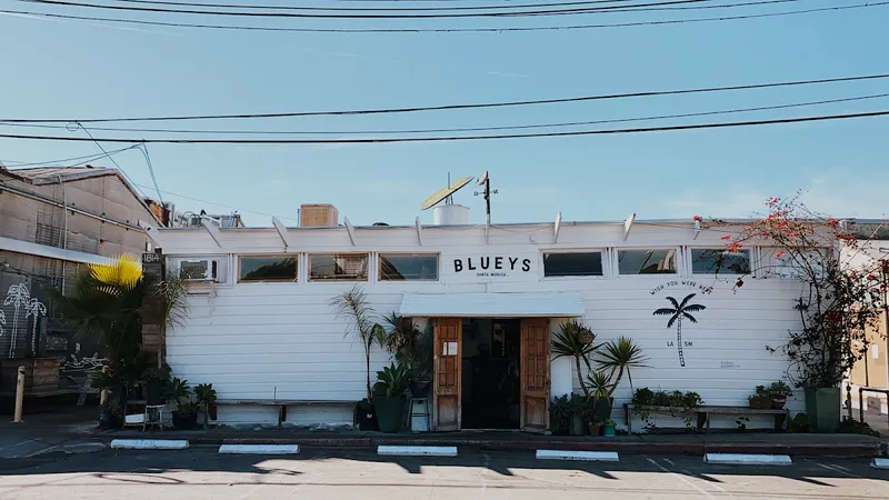 Blueys Santa Monica - Photo