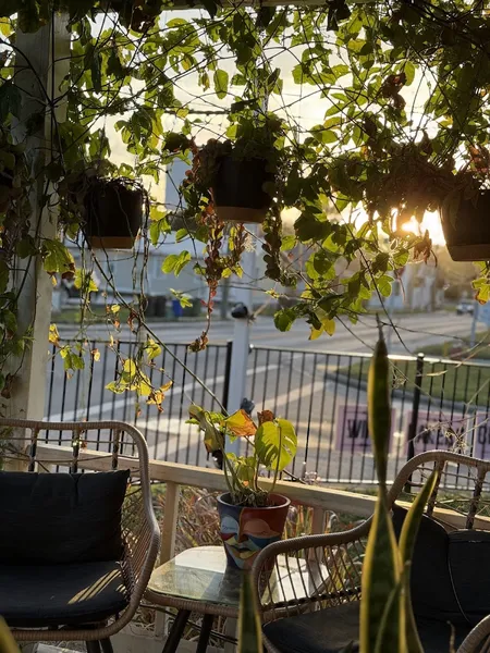 Maracuya by Llama Restaurant - Photo