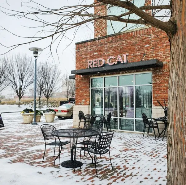The Red Cat @ Railroad Park - Photo
