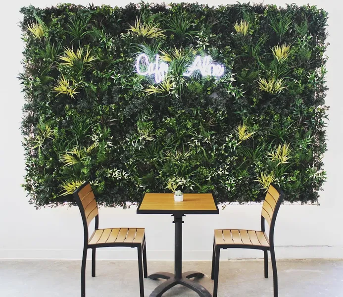 Cafe Aloe - Photo