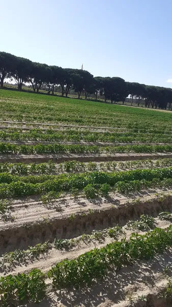 Retiro da Bêbeda - Photo